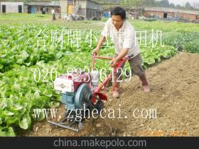 山區(qū)丘陵新動力 6匹全齒輪耕地機(jī)助力大棚農(nóng)業(yè)增效