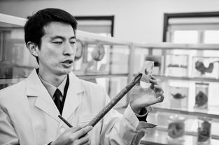 北京警隊的“死亡密碼破解者” 法醫(yī)秦明的法醫(yī)鑒定藝術