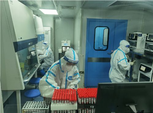為群眾辦實事 3天檢測核酸41萬份 這群司法鑒定人創(chuàng)造“江門速度”